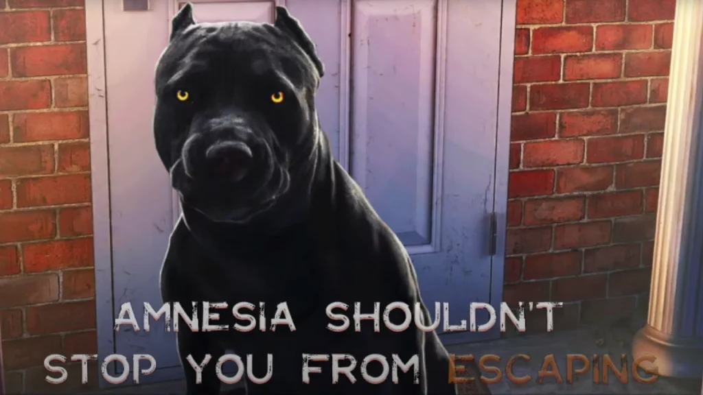 amnesia room escape games walkthrough