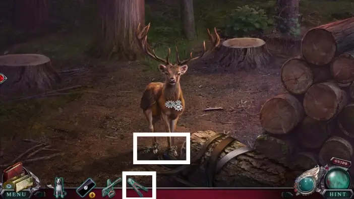 lost secrets of the forest part 3 img14