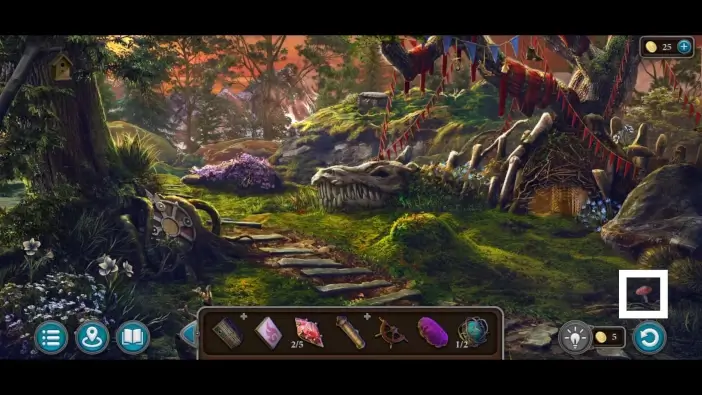 lt5 ch1 mushroom img6