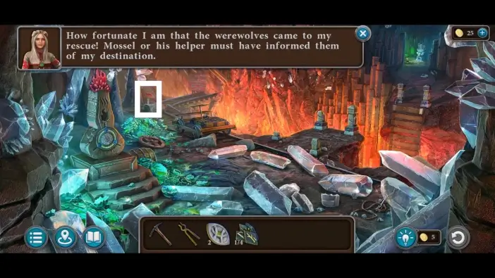 lt5 ch1 mushroom img7